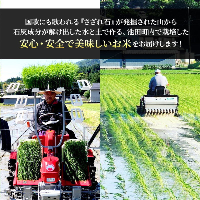 米 10kg ハツシモ 池田町産 8分づき 分つき精米 お米 おこめ