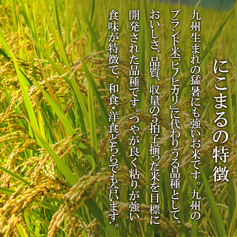米 10kg (5kg×2) にこまる 池田町産 8分づき セット 分つき精米 お米 おこめ こめ コメ ごはん ご飯 有機肥料 減農薬栽培 ミルキークィーン ニコマル 岐阜県 