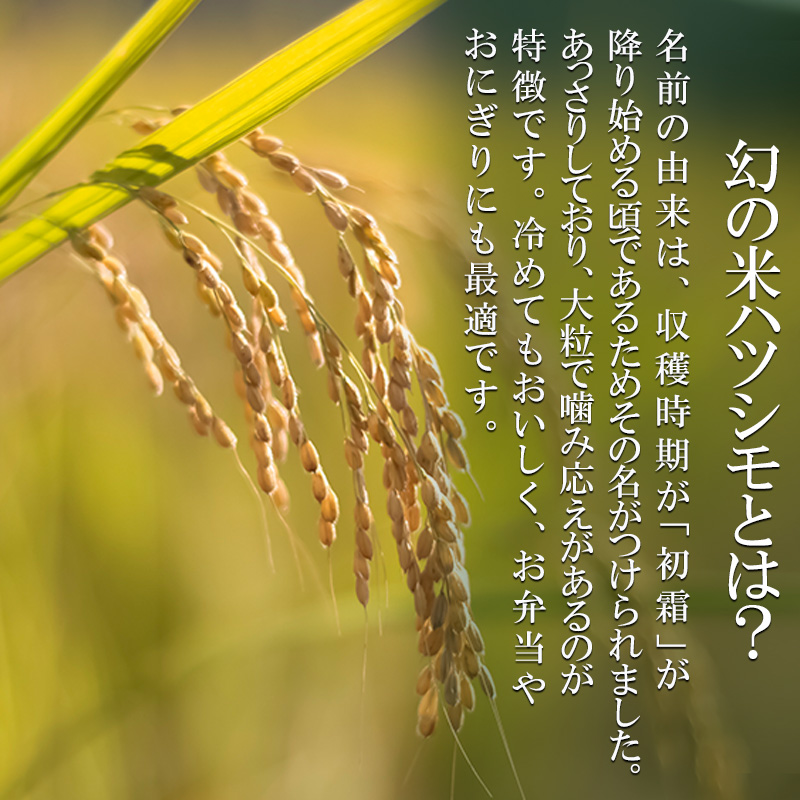 ハツシモ10k（精米） 米 10kg ハツシモ 池田町産 8分づき 分つき精米 お米 おこめ