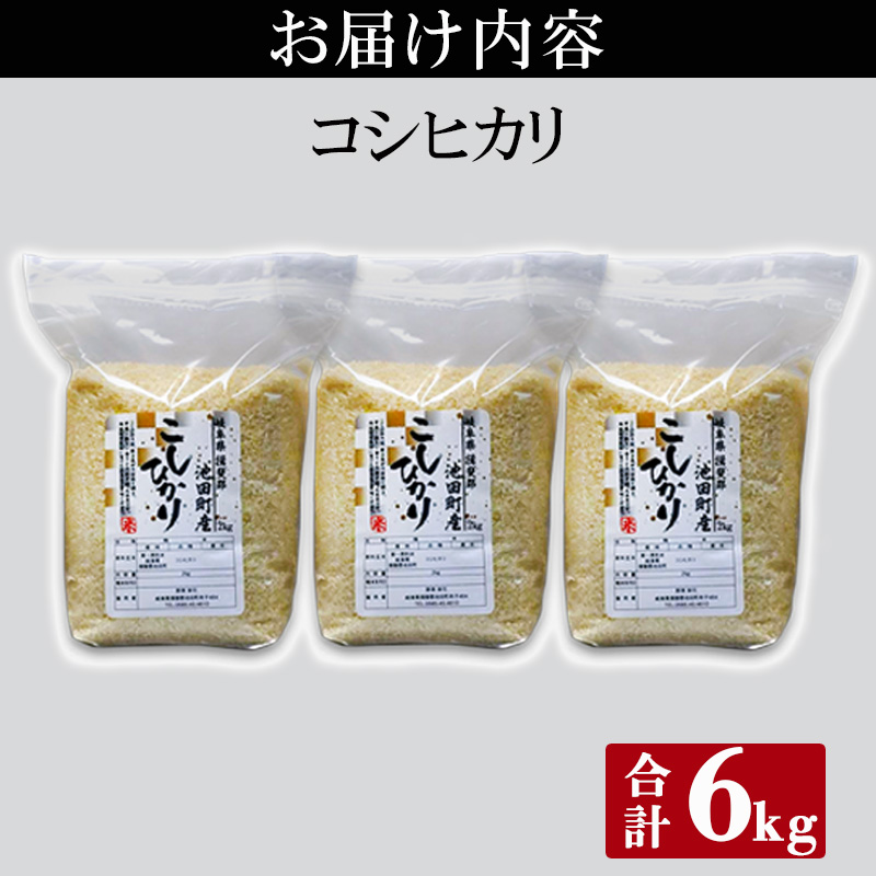 米 6kg (2kg×3袋) コシヒカリ 池田町産 8分づき セット 分つき精米 お米 おこめ こめ コメ ごはん ご飯 有機肥料 減農薬栽培 こしひかり 岐阜県 