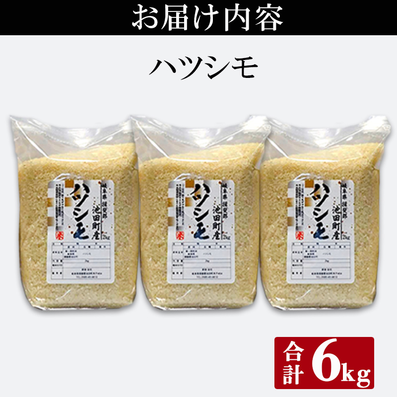 米 6kg (2kg×3袋) ハツシモ 池田町産 8分づき セット 分つき精米 お米 おこめ こめ コメ ごはん ご飯 有機肥料 減農薬栽培 はつしも 岐阜県 
