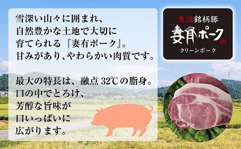 妻有ポーク ビアソーセージ 100g × 4個 計400g ソーセージ ウインナー つまり ポーク 豚肉 銘柄豚 おつまみ お取り寄せ グルメ ファームランド・木落 新潟県 十日町市 