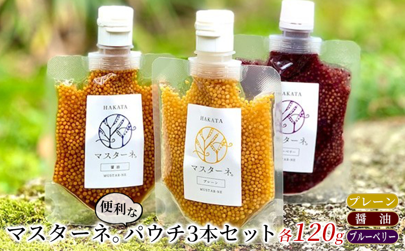 【福岡県朝倉市】調味料 マスタード 3本 セット マスターネ。 プレーン 醤油 ブルーベリー 各120g パウチ 食べ比べ ※配送不可:離島