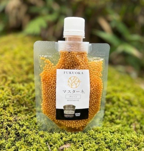 調味料 マスタード 5本 セット マスターネ。 プレーン 醤油 ブルーベリー 木桶醤油 木桶プレーン 各120g パウチ 食べ比べ ※配送不可:離島 