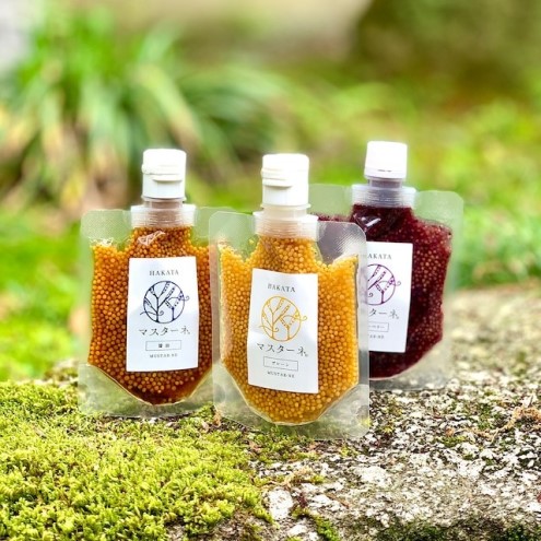 調味料 マスタード 5本 セット マスターネ。 プレーン 醤油 ブルーベリー 木桶醤油 木桶プレーン 各120g パウチ 食べ比べ ※配送不可:離島 