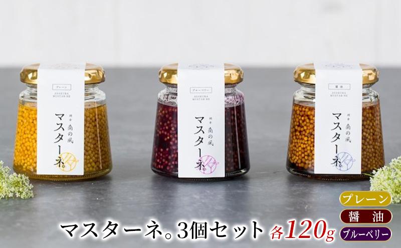 【福岡県朝倉市】調味料 マスタード 3本 セット マスターネ。 プレーン 醤油 ブルーベリー 各120g 瓶 食べ比べ ※配送不可:離島