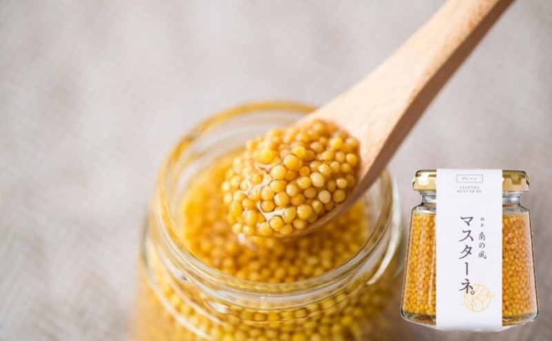 調味料 マスタード 3本 セット マスターネ。 プレーン 醤油 ブルーベリー 各120g 瓶 食べ比べ ※配送不可:離島 