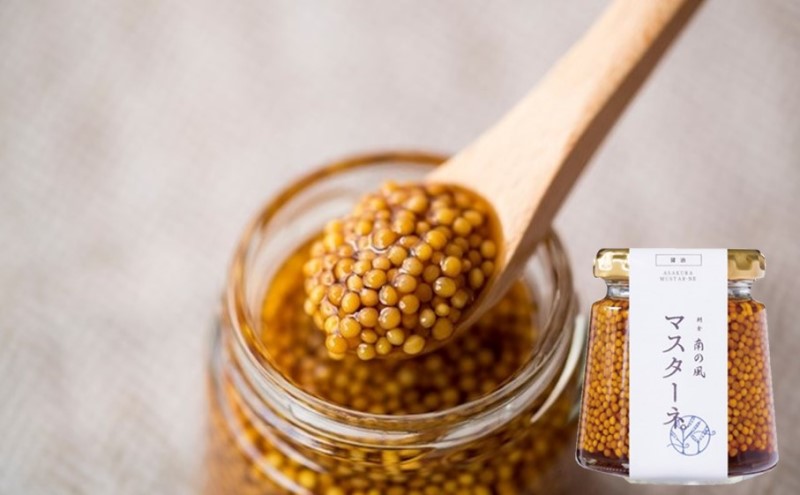 調味料 マスタード 3本 セット マスターネ。 プレーン 醤油 ブルーベリー 各120g 瓶 食べ比べ ※配送不可:離島 