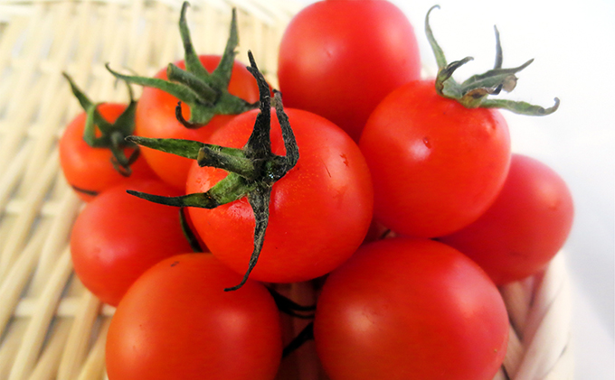 yRsz2026N s\ ~j g}g 150g 10pbN Ƃ܂ R sY L@ 