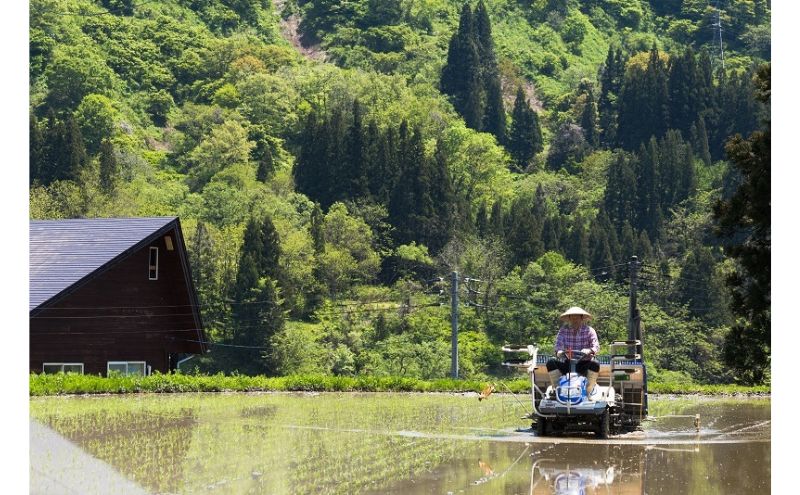 江戸伝承棚田米５Kg お米 コメ 