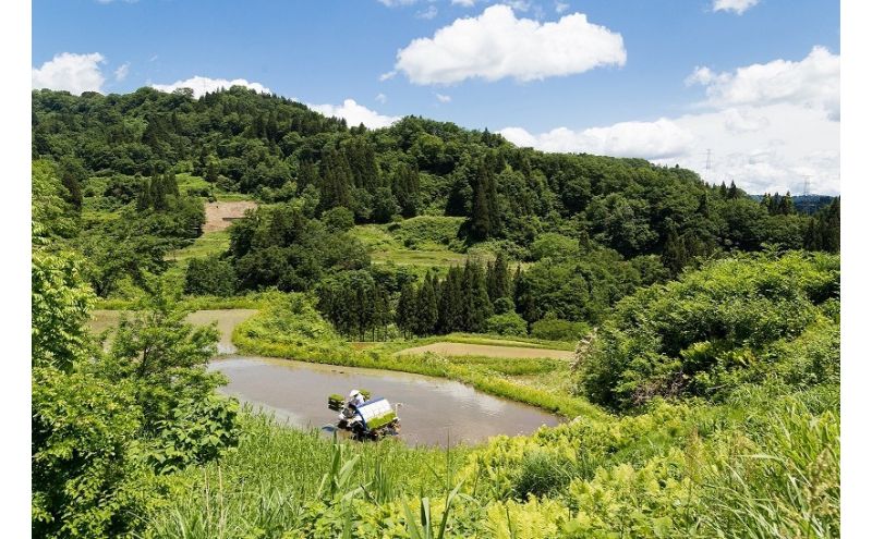 【玄米】江戸伝承厳選棚田米４Kg（２kg×２） お米 コメ 4kg 