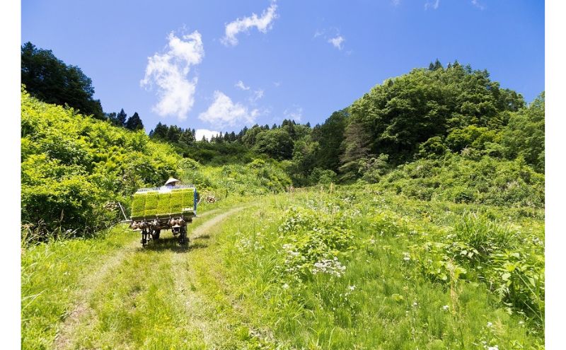 江戸伝承厳選棚田米２Kg お米 コメ 