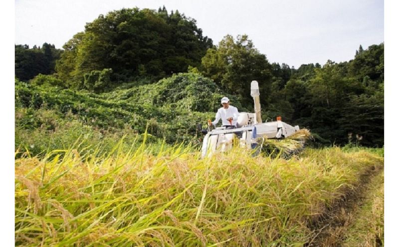 江戸伝承厳選棚田米５kg お米 コメ 