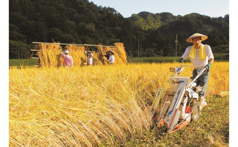 江戸伝承絶品米２Kg お米 コメ 