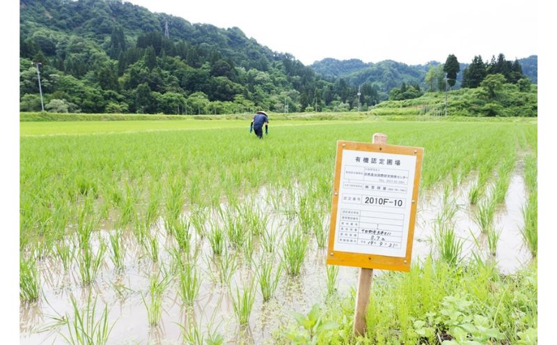 江戸伝承絶品米２Kg お米 コメ 