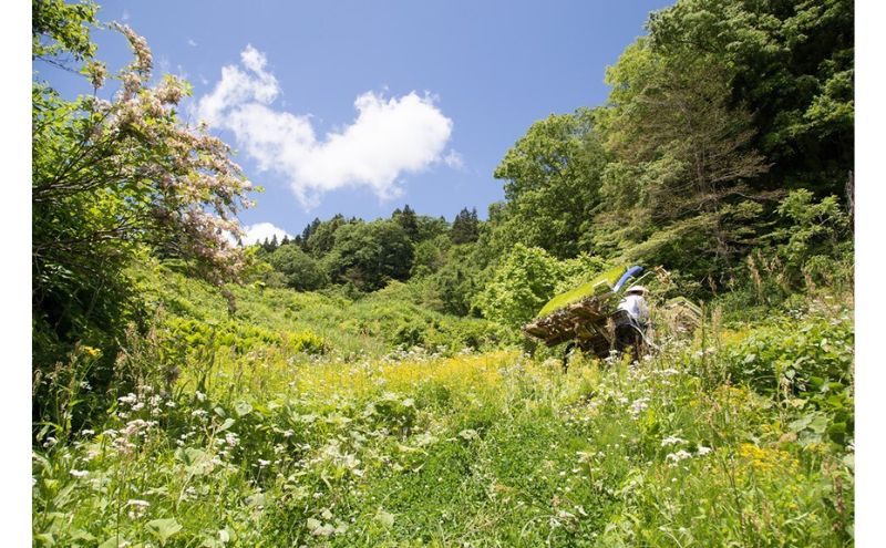 江戸伝承棚田米１０Kg（５kg×２） お米 コメ 