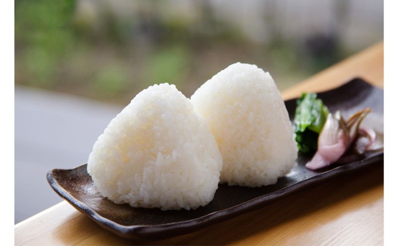 江戸伝承棚田米１０Kg（５kg×２） お米 コメ 