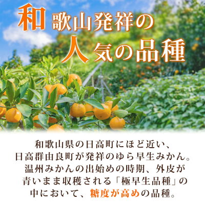 G7097_紀州和歌山有田産 ゆら早生みかん 5kg【ミカン 蜜柑 柑橘 温州みかん わせみかん】