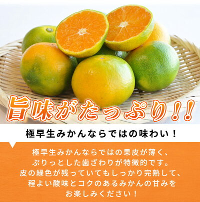 G7097_紀州和歌山有田産 ゆら早生みかん 5kg【ミカン 蜜柑 柑橘 温州みかん わせみかん】