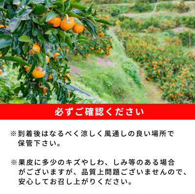 G7097_紀州和歌山有田産 ゆら早生みかん 5kg【ミカン 蜜柑 柑橘 温州みかん わせみかん】