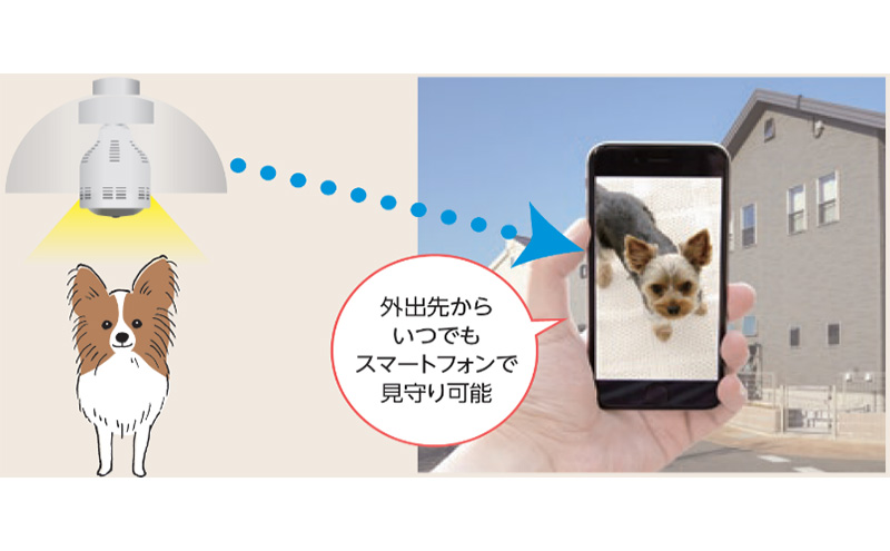 電球型ネットワークカメラ 『テラスアイ』 