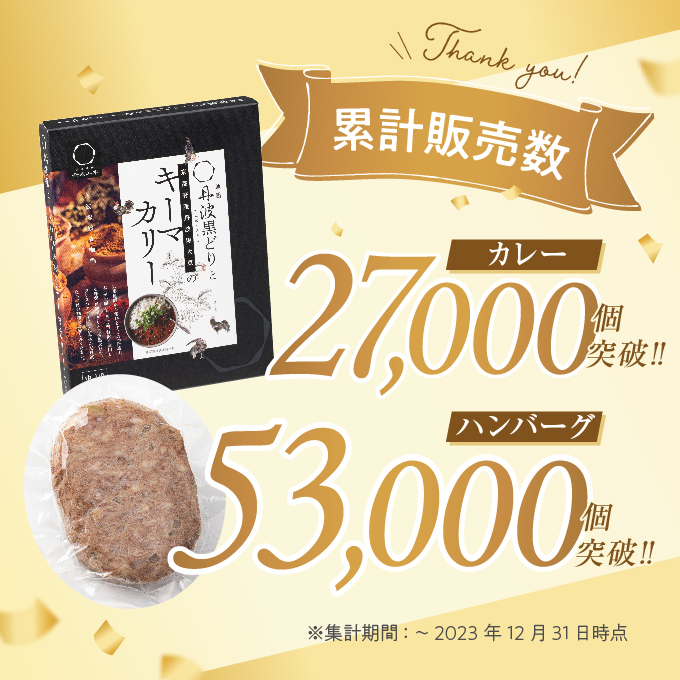 神戸牛 100% プレミアムハンバーグカレー セット  国産 小分け 鶏肉 牛肉 レトルトカレー