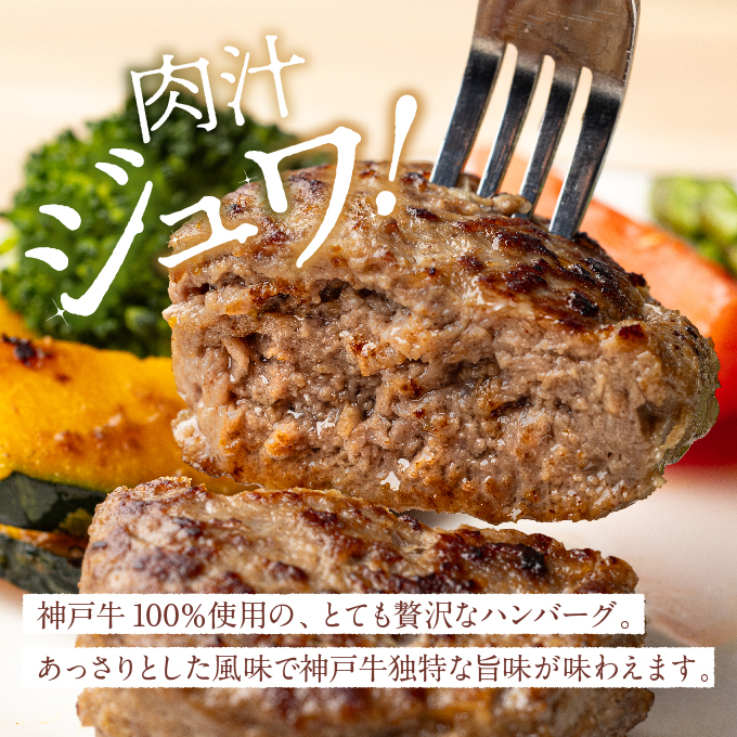 神戸牛 100% プレミアムハンバーグカレー セット  国産 小分け 鶏肉 牛肉 レトルトカレー