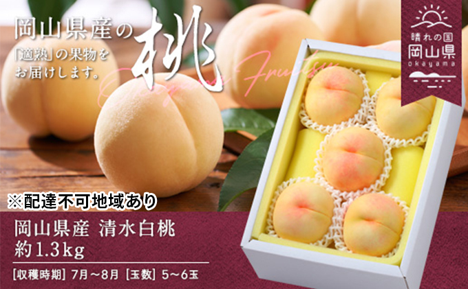 桃 2026年 先行予約 清水白桃 約1.3kg 5～6玉 もも モモ 岡山県産 国産 フルーツ 果物 ギフト