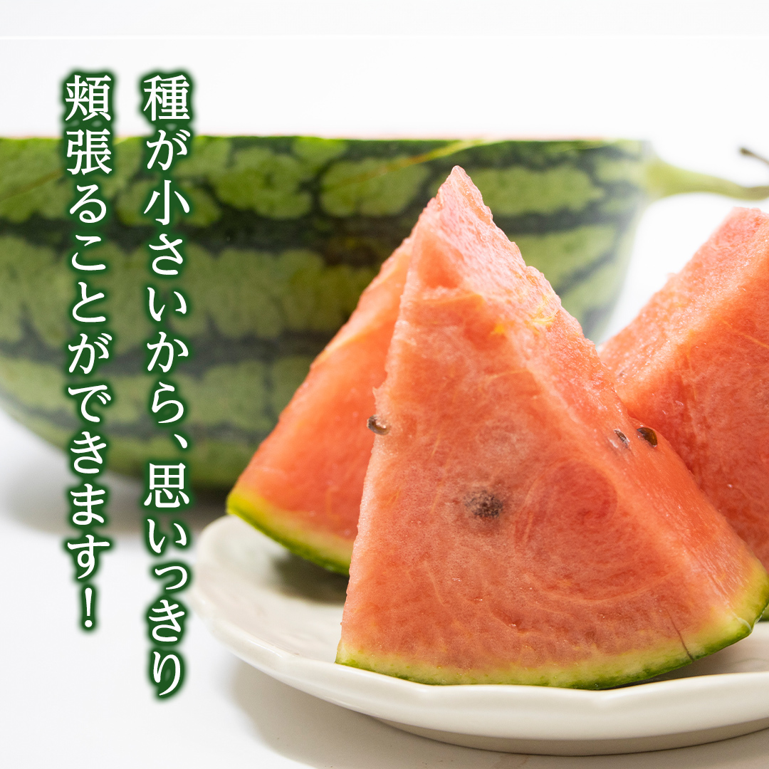 茨城県八千代町のふるさと納税 【 先行予約 2026年7月下旬以降発送 】 小玉 スイカ ピノ・ガール 5玉 優以上 NONAKA HIROSHI FARM すいか 西瓜 数量限定 甘い 夏 果物 旬 [AX030ya]
