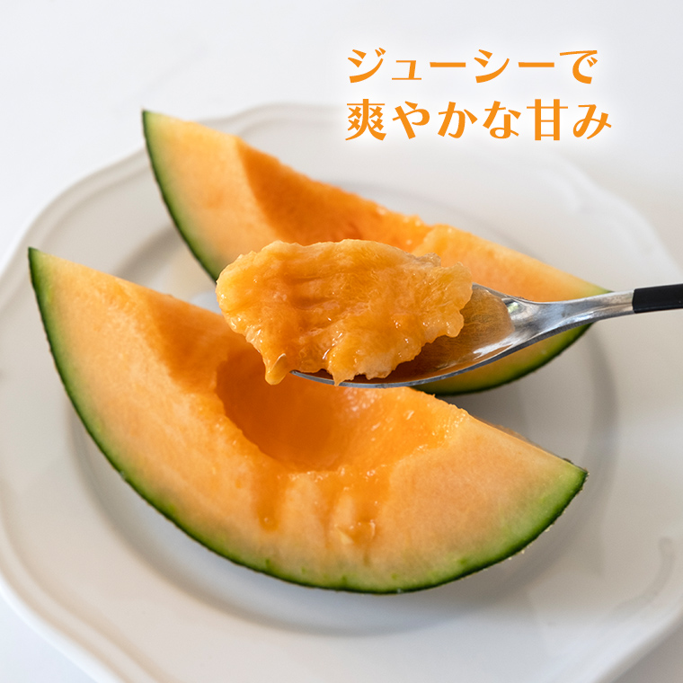 Kinkin 茨城産タカミメロン6玉L2箱 Kinkin様専用 茨城産タカミメロン6玉L2箱