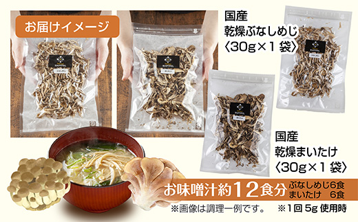 乾燥きのこ 2種セット（ぶなしめじ まいたけ）／国産 乾燥 ぶなしめじ 30g 舞茸 30g 各1袋ドライ きのこ 無添加 国産 だし 時短 ダイエット ギフト お取り寄せ はぴふる 新潟県 