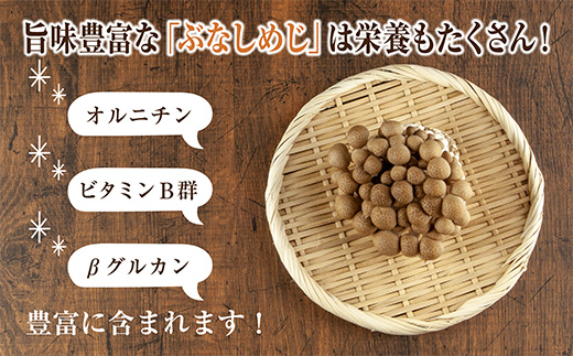乾燥ぶなしめじ 3袋セット／国産 乾燥 ぶなしめじ 30g×3袋 しめじ シメジ ブナシメジ きのこ 無添加 国産 干ししめじ ドライきのこ だし 出汁 時短 保存食 ダイエット ギフト お取り寄せ はぴふる 新潟県 十日町市 