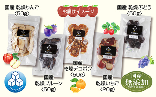 ドライフルーツ 5種(りんご プルーン デコポン いちご ぶどう)／リンゴ 苺 無添加 砂糖不使用 国産フルーツ 果物 保存食 ダイエット ギフト グルメ お取り寄せ はぴふる 新潟県 十日町市 