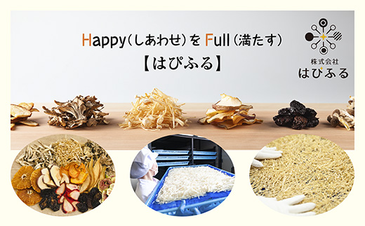 ドライフルーツ りんご 3種(シナノゴールド シナノスイート 紅玉)／乾燥りんご 林檎 リンゴ 無添加 砂糖不使用 国産 フルーツ 保存食 果物 ギフト グルメ お取り寄せ はぴふる 新潟県 十日町市 