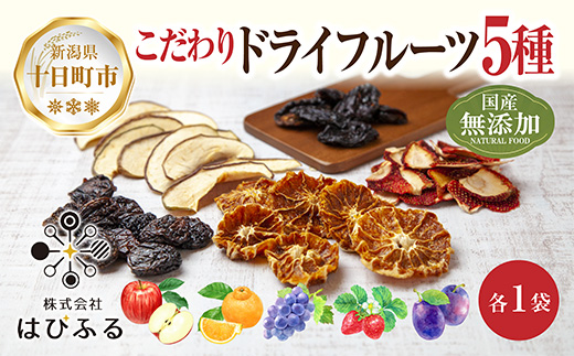 ドライフルーツ 5種(りんご プルーン デコポン いちご ぶどう)／リンゴ 苺 無添加 砂糖不使用 国産フルーツ 果物 保存食 ダイエット ギフト グルメ お取り寄せ はぴふる 新潟県 十日町市 