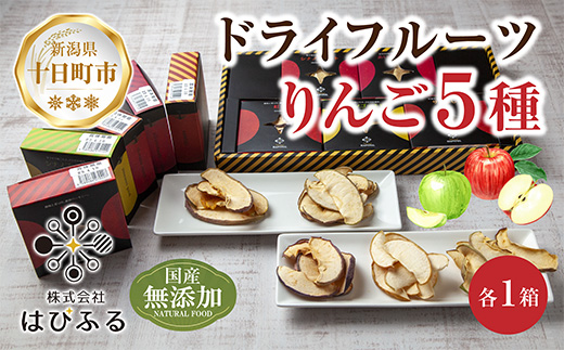 ドライフルーツ りんご 5種(シナノゴールド シナノスイート 紅玉 あいかの香り サンふじ)／乾燥りんご 林檎 リンゴ 無添加 砂糖不使用 国産 フルーツ ギフト お取り寄せ はぴふる 新潟県 十日町市 