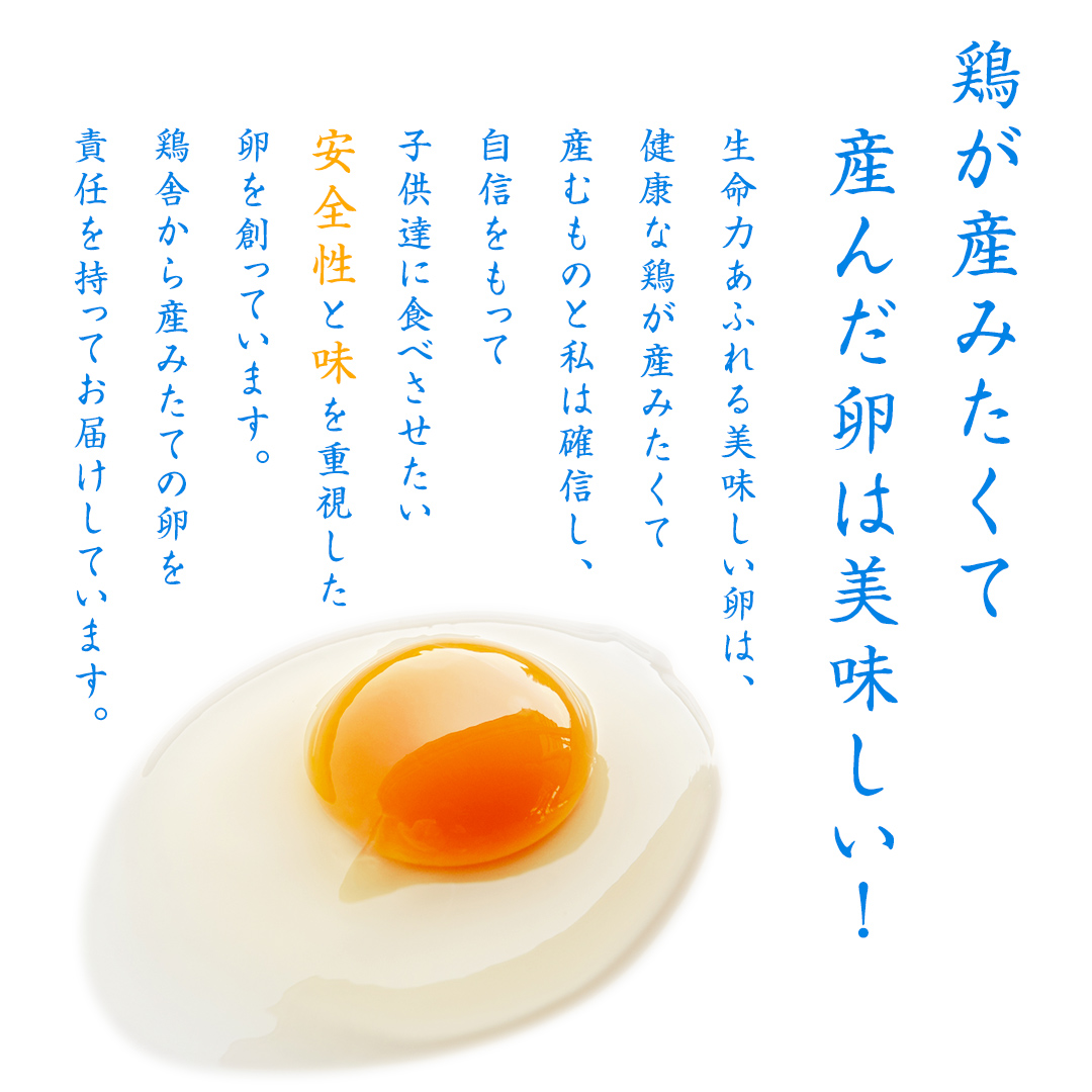 鶏卵 30個 ( 26個 + 破損補償分 4個 ) 卵 たまご 玉子 ふるさと