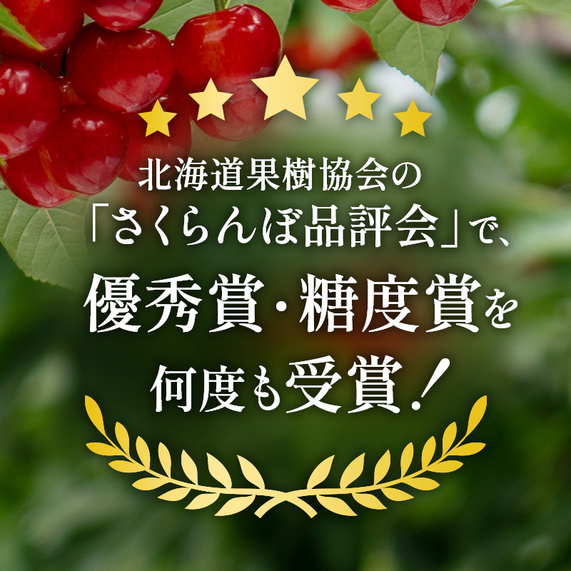 北海道仁木町のふるさと納税 先行受付 北海道 仁木町産 ジャンボサイズ さくらんぼ 【 紅秀峰 】2Lサイズ以上 300g×2パック 計600g 　サクランボ チェリー フルーツ 果物 果物類  仁木町 仁木 [嶋田茂農園匠]