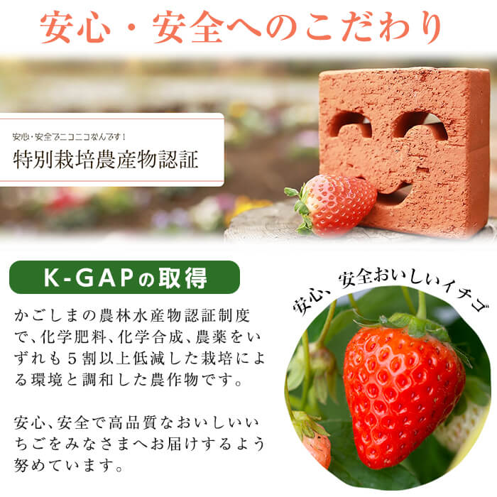 鹿児島県志布志市のふるさと納税 〈先行予約受付中！〉鹿児島県産いちご！志布志発祥白いちご「淡雪」4Pと季節おまかせ赤いちご4Pセット(計2kg・約270g×8P) c0-015