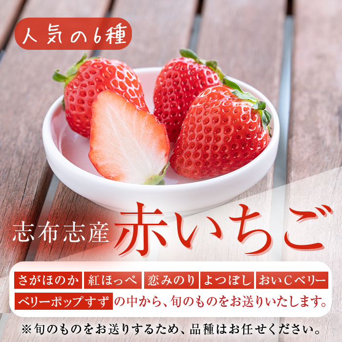 鹿児島県志布志市のふるさと納税 〈先行予約受付中！〉鹿児島県産いちご！志布志発祥白いちご「淡雪」4Pと季節おまかせ赤いちご4Pセット(計2kg・約270g×8P) c0-015