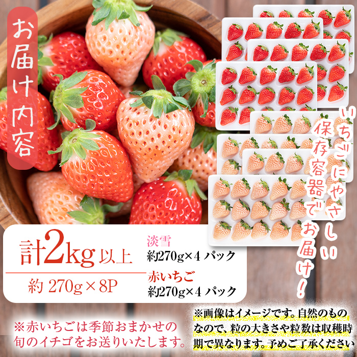 鹿児島県志布志市のふるさと納税 〈先行予約受付中！〉鹿児島県産いちご！志布志発祥白いちご「淡雪」4Pと季節おまかせ赤いちご4Pセット(計2kg・約270g×8P) c0-015
