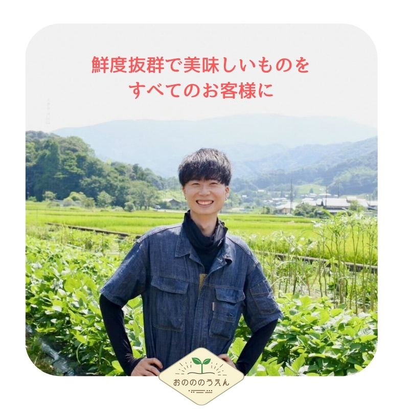 新生姜　箱込み8kg  減農薬栽培　鹿児島産 No.873 ＜数量・期間限定＞新生姜(約3kg) 国産 九州産 鹿児島県
