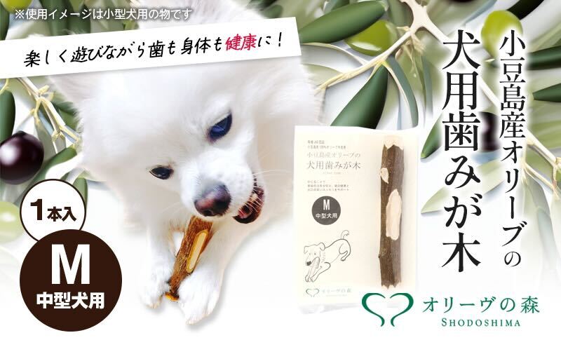 【 小豆島 】 小豆島産 オリーブの犬用はみが木 M(中型犬用) 1本入 ペット 健康 犬 いぬ イヌ 歯磨き 歯みがき ハミガキ オリーブ オリーブ木 犬用 中型犬 香川 香川県 土庄 土庄町