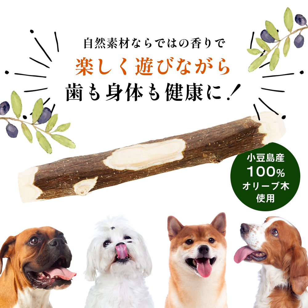 【 小豆島 】 小豆島産 オリーブの犬用はみが木 M(中型犬用) 1本入 ペット 健康 犬 いぬ イヌ 歯磨き 歯みがき ハミガキ オリーブ オリーブ木 犬用 中型犬 香川 香川県 土庄 土庄町