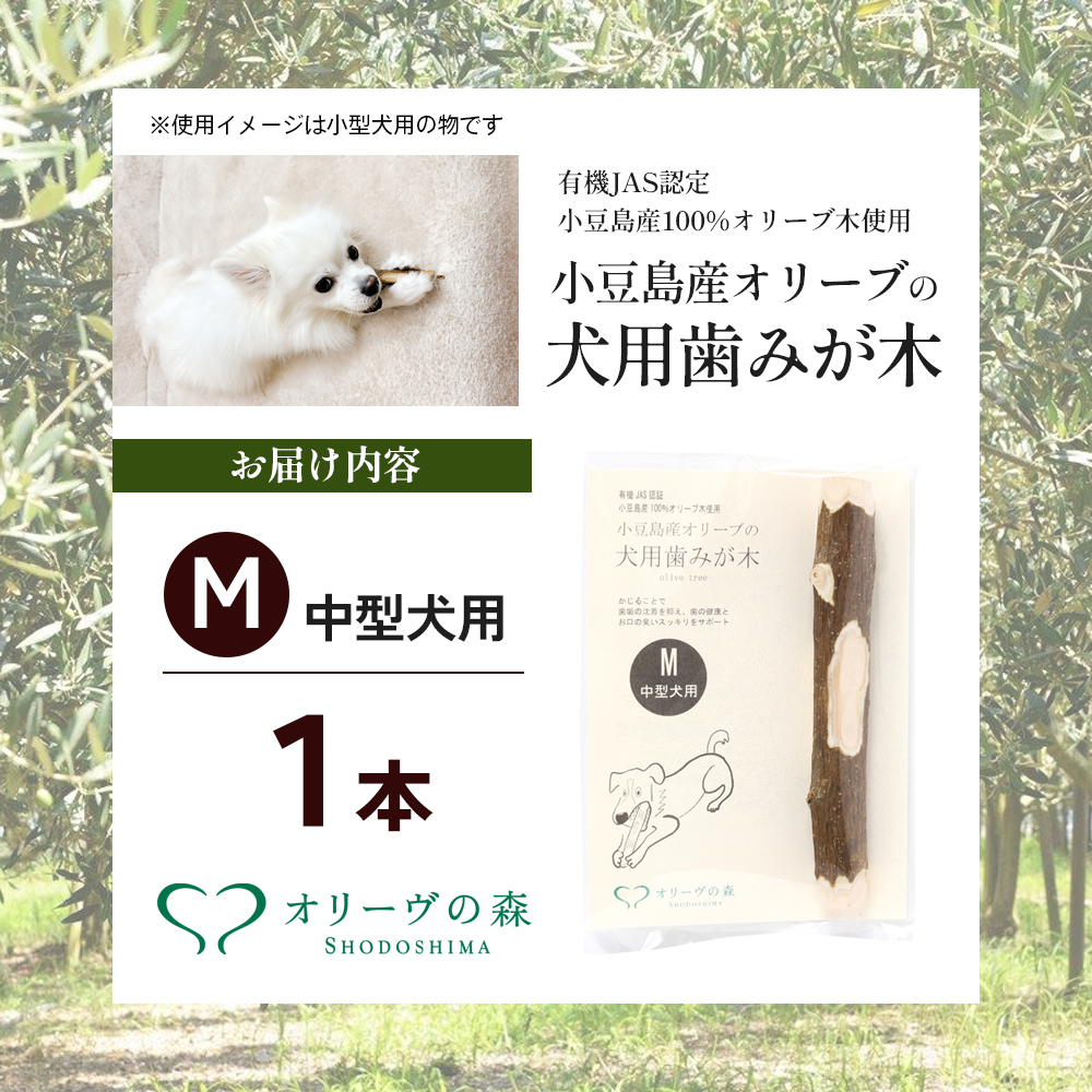 【 小豆島 】 小豆島産 オリーブの犬用はみが木 M(中型犬用) 1本入 ペット 健康 犬 いぬ イヌ 歯磨き 歯みがき ハミガキ オリーブ オリーブ木 犬用 中型犬 香川 香川県 土庄 土庄町