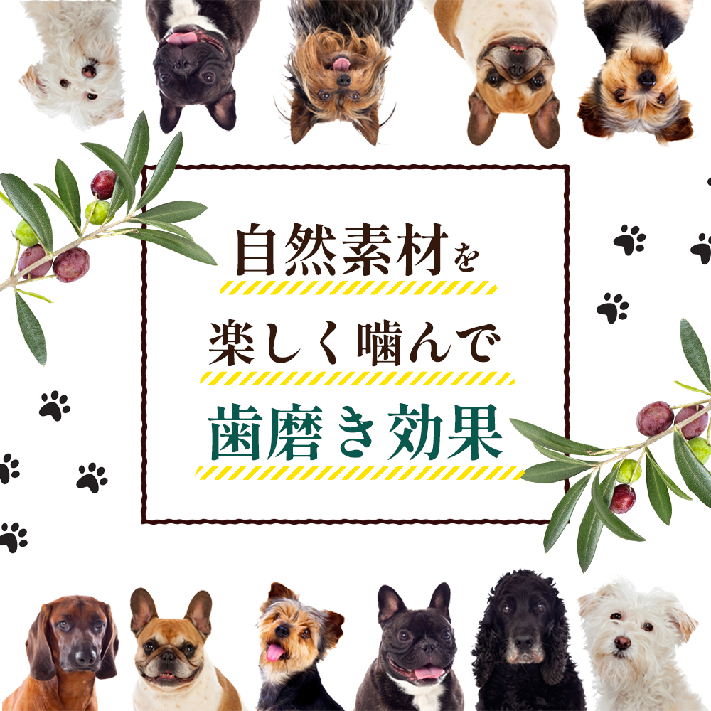 【 小豆島 】 小豆島産 オリーブの犬用はみが木 M(中型犬用) 3袋入 ペット 健康 犬 いぬ イヌ 歯磨き 歯みがき ハミガキ オリーブ オリーブ木 犬用 中型犬 香川 香川県 土庄 土庄町