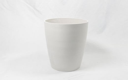 沖縄の観葉植物 人気のフィカス ウンベラータ 6号 シュエット鉢ポット