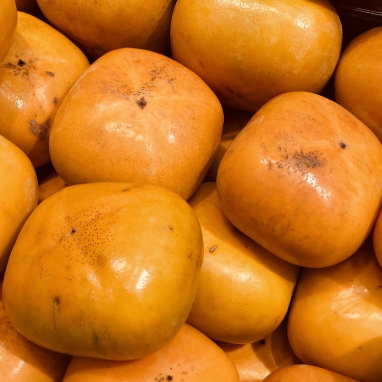 和歌山産貯蔵たねなし柿化粧箱入り（6玉～8玉入り）　※2025年12月中旬～2026年1月上旬頃に順次発送予定