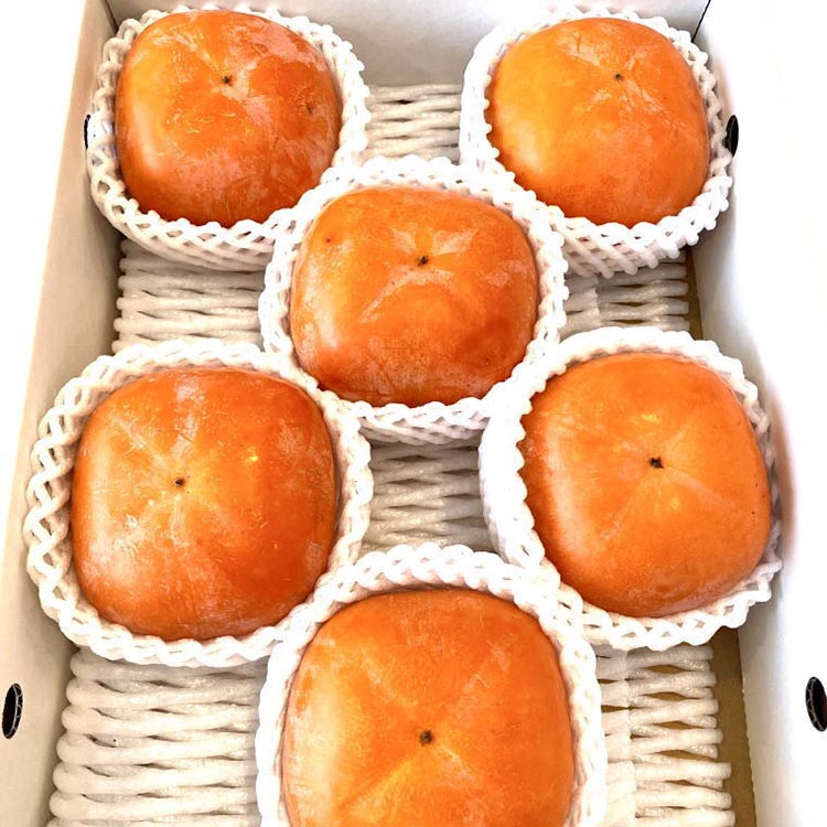 和歌山産貯蔵たねなし柿化粧箱入り（6玉～8玉入り）　※2025年12月中旬～2026年1月上旬頃に順次発送予定