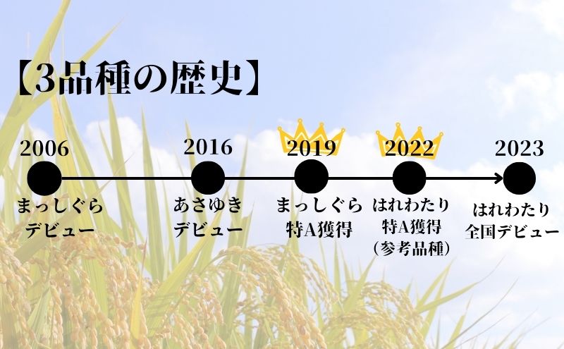 先行予約 新米 令和6年産 無洗米 食べ比べセット 5kg (計10kg) まっしぐら あさゆき セット 詰め合わせ 食べ比べ 米 白米 こめ お米 おこめ コメ ご飯 令和6年 H.GREENWORK 青森 青森県 鯵ヶ沢町 